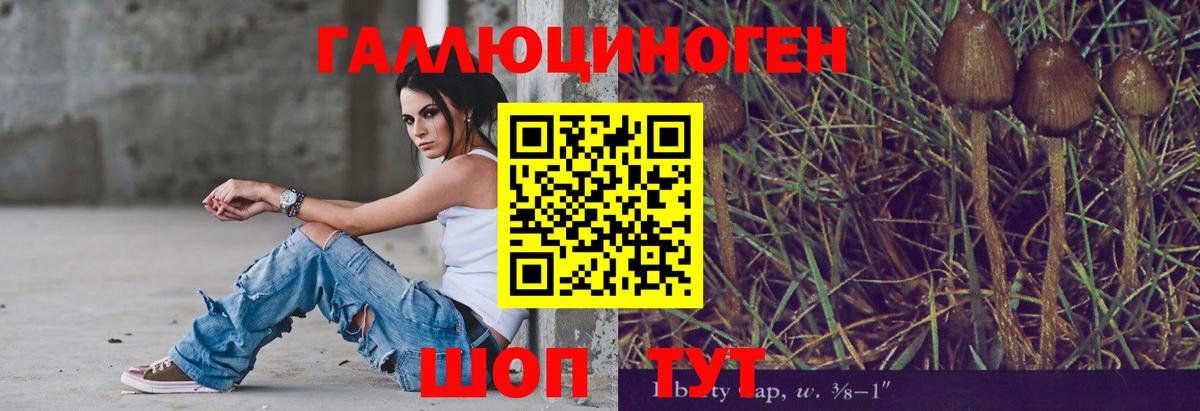 Псилоцибиновые грибы мицелий Еманжелинск